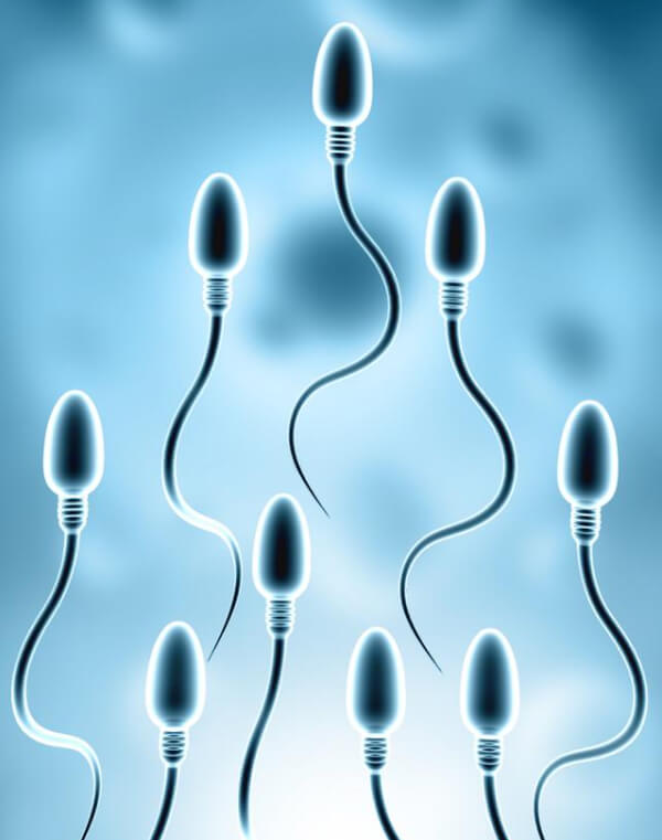surgical-sperm-retrieval-in-india