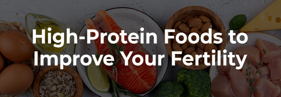 High-Protein Foods to Improve Your Fertility